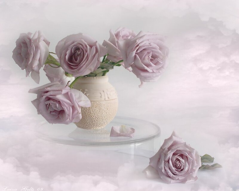 Lavender Roses in Vase