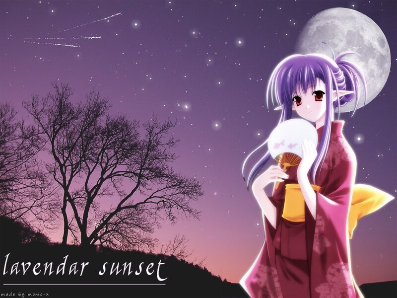 lavender sunset