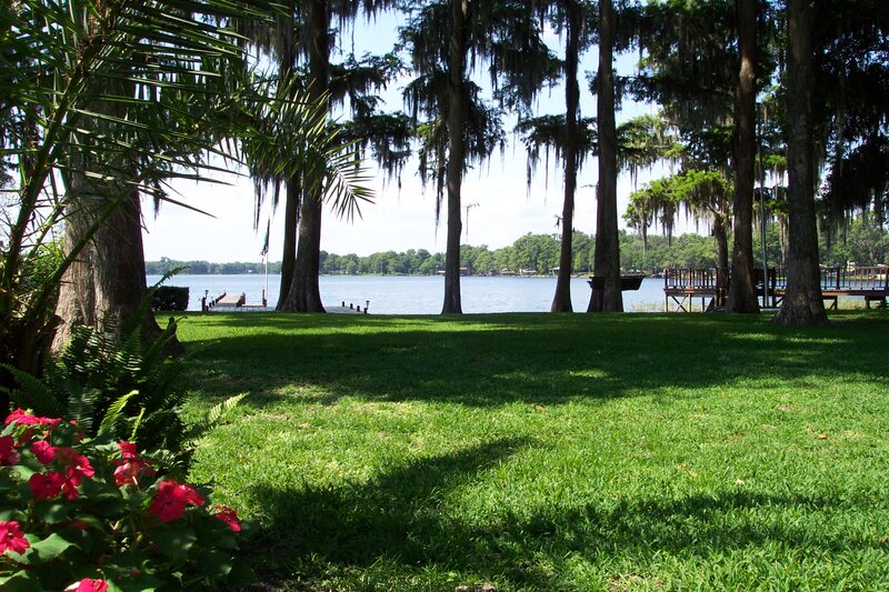Lawn by Lake with Trees