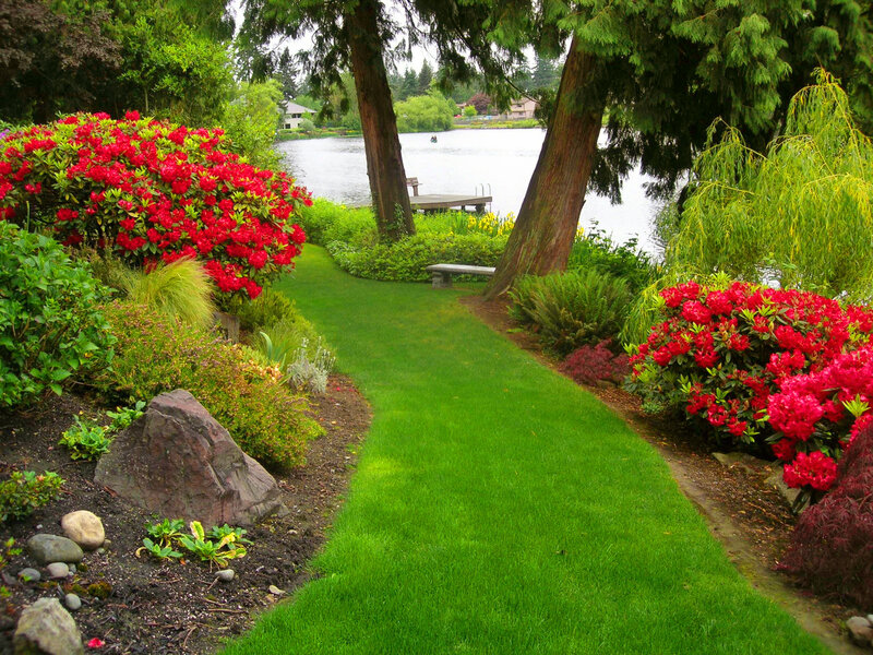 Lawn Path by Lake