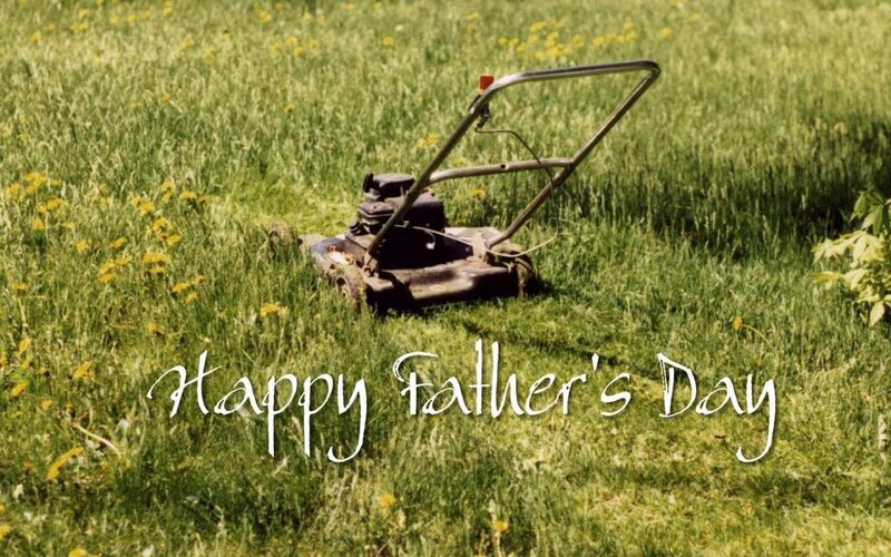 Lawnmower in Grass