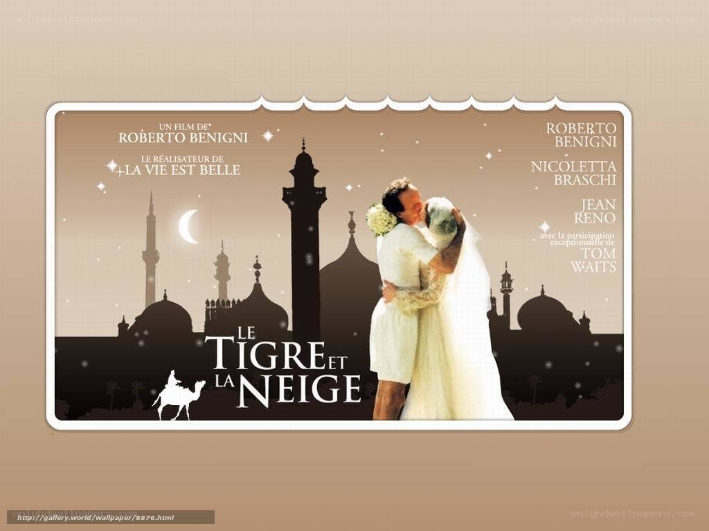 Le Tigre et la Neige movie poster
