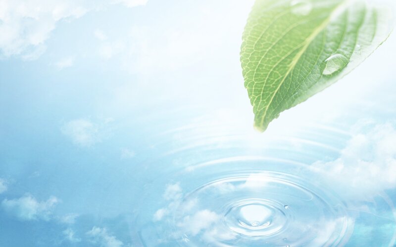 Leaf dropping into water