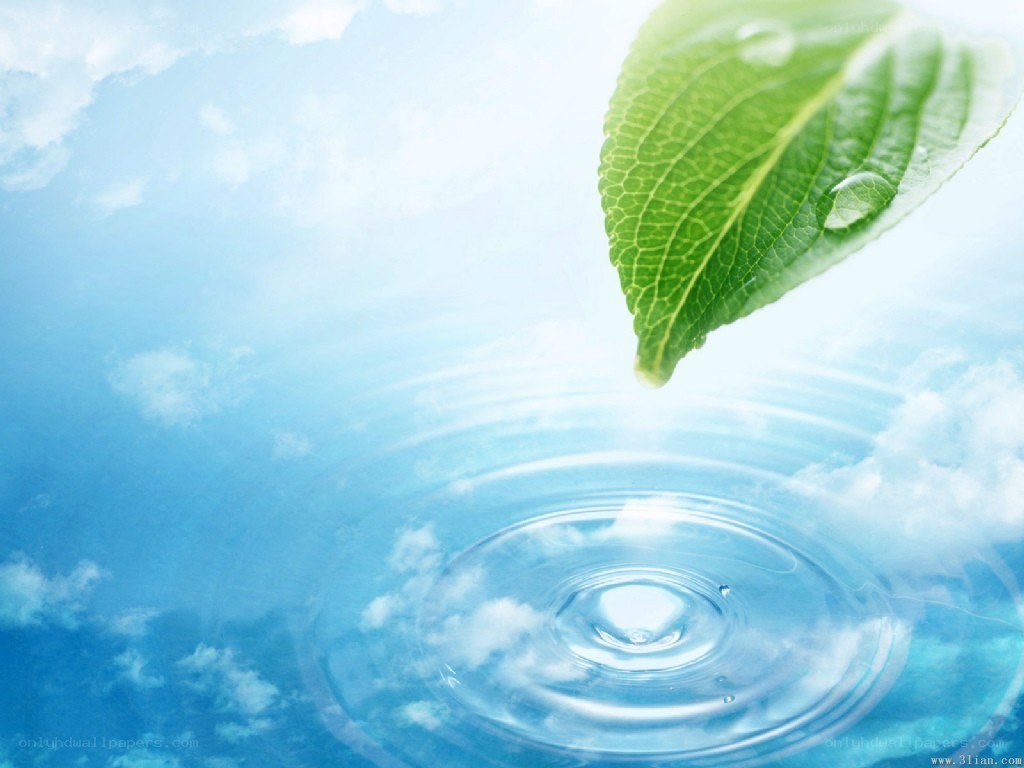 Leaf dropping into water