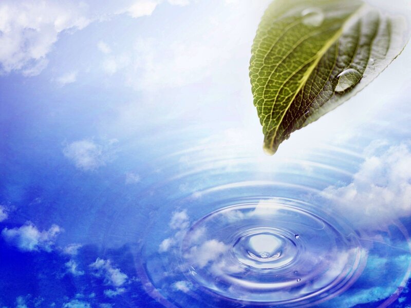 Leaf Dropping Water Drop — Blue