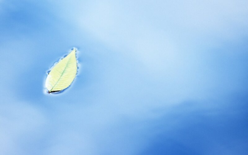 Leaf Floating on Water — Blue, Serene