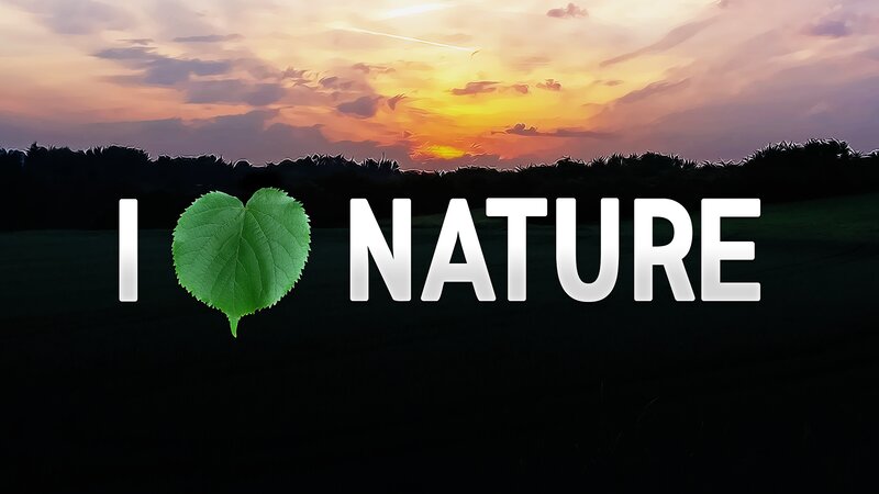 Leaf Heart in Nature