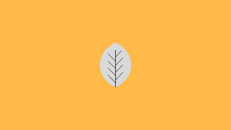 Leaf Icon on Orange