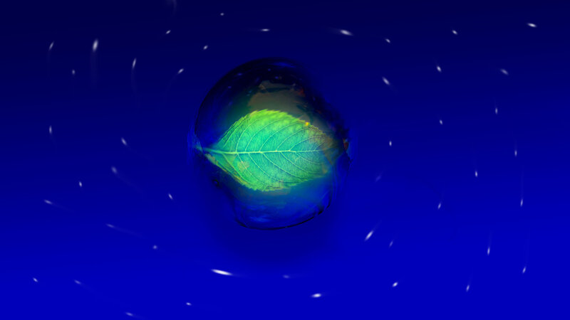 Leaf in a Bubble