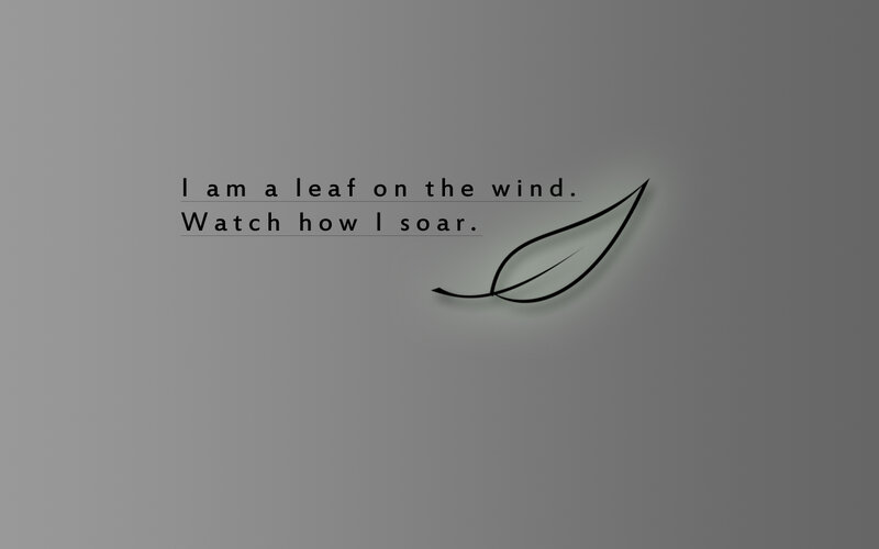 Leaf on Gray Background — Calm