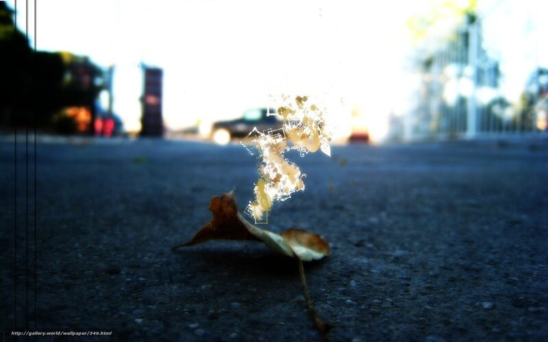 Leaf on pavement with light effect