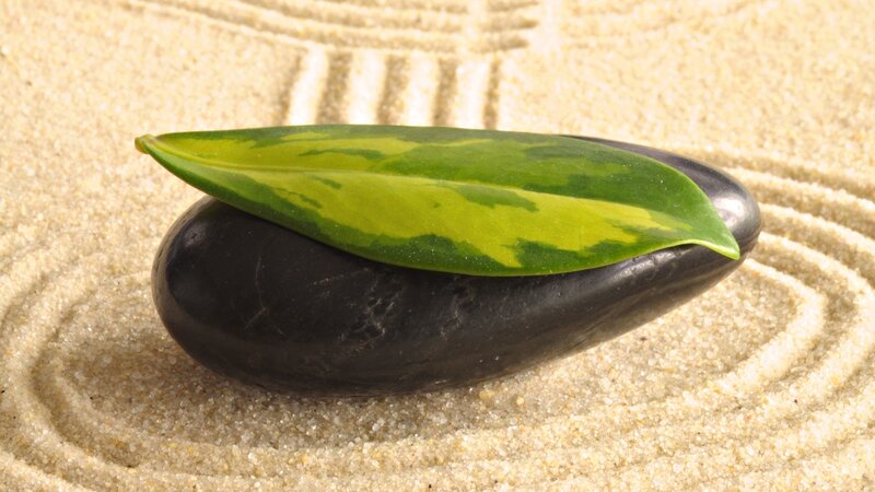 leaf on stone in sand