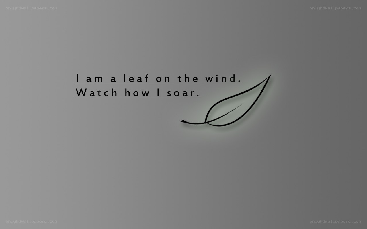 leaf on the wind
