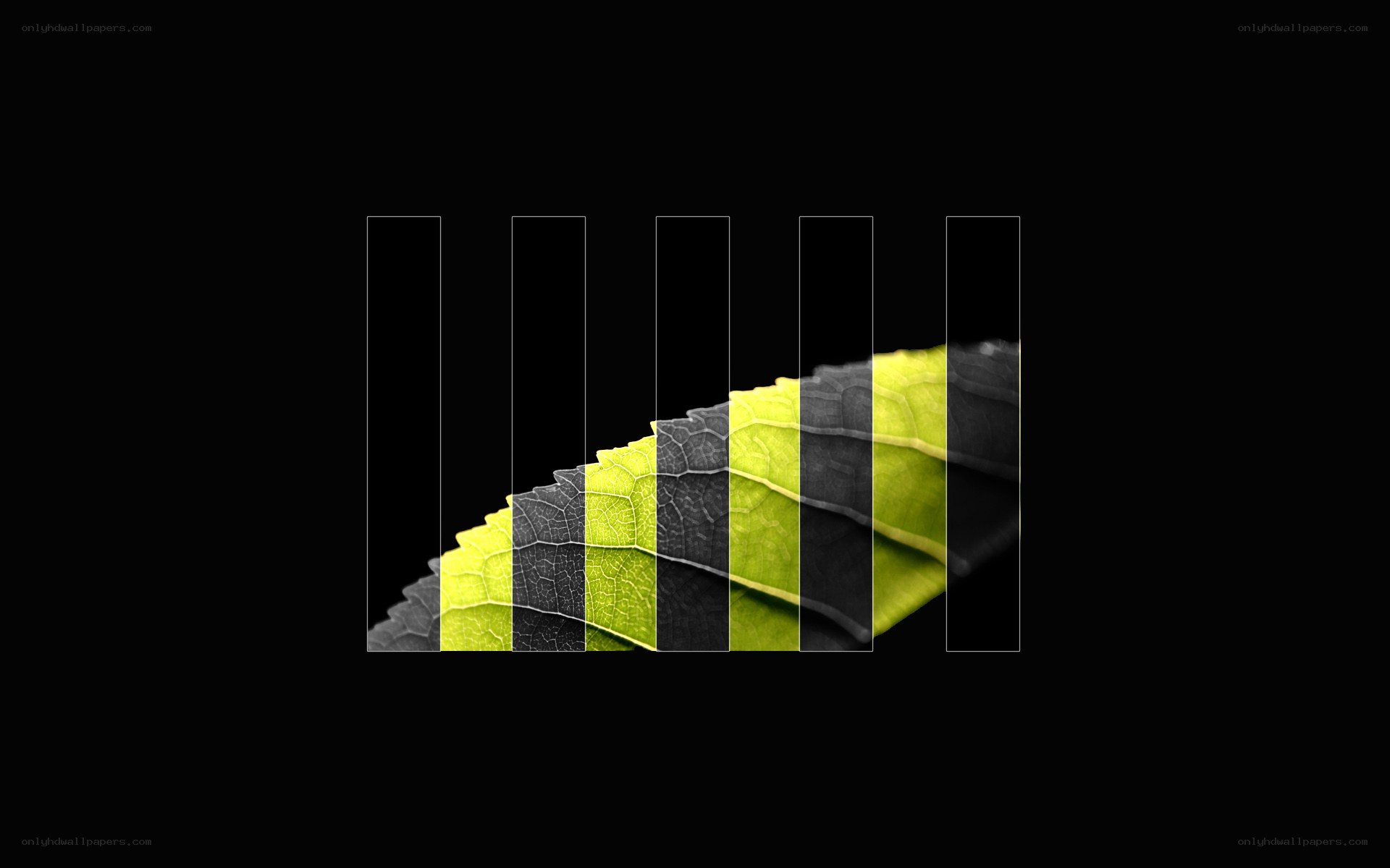 Leaf texture in color blocks