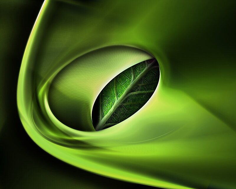 Leaf Through Green Swirl