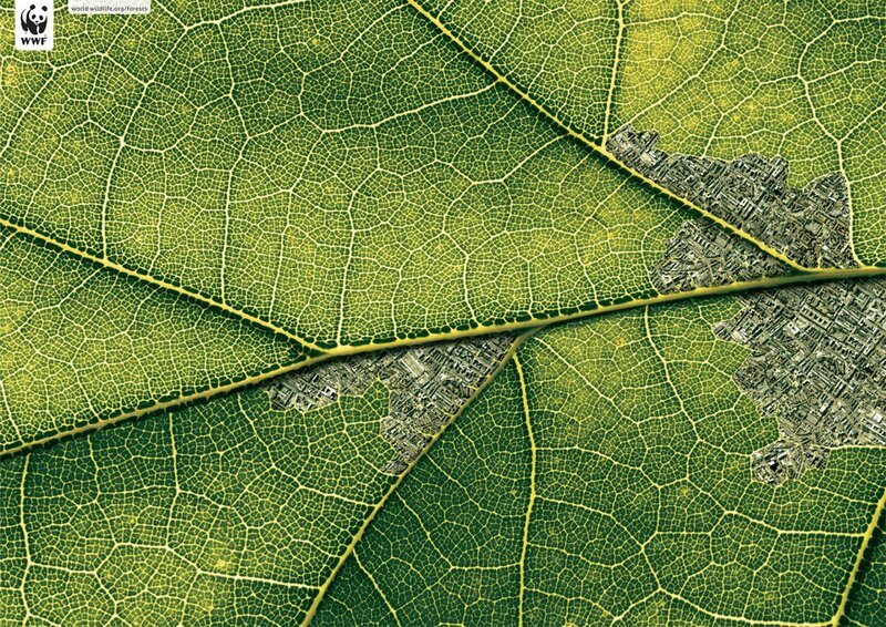 Leaf with city map