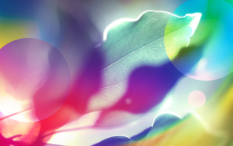 Leaf with Colorful Bokeh
