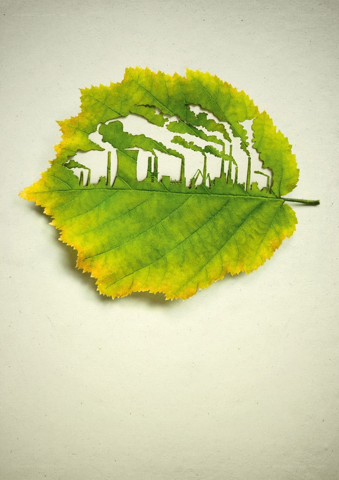 Leaf with factory cutout