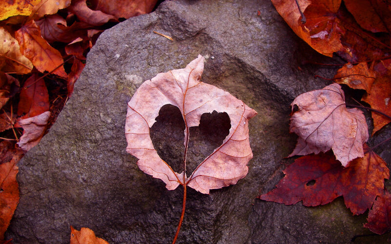 Leaf with Heart Shape