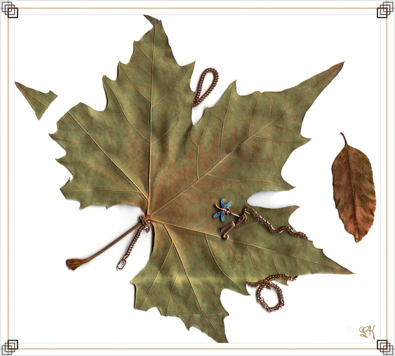 Leaf with jewelry arrangement