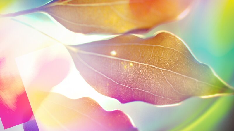 Leaf with Light Effects
