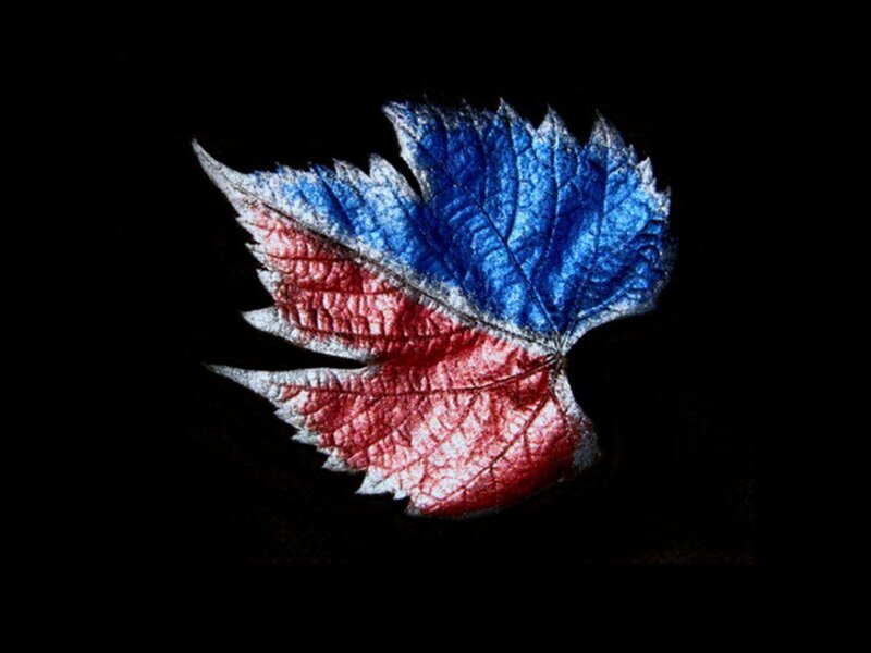 Leaf with Painted Colors
