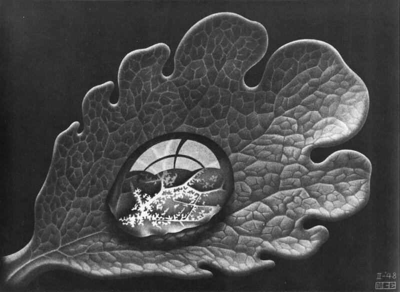 Leaf with Reflection