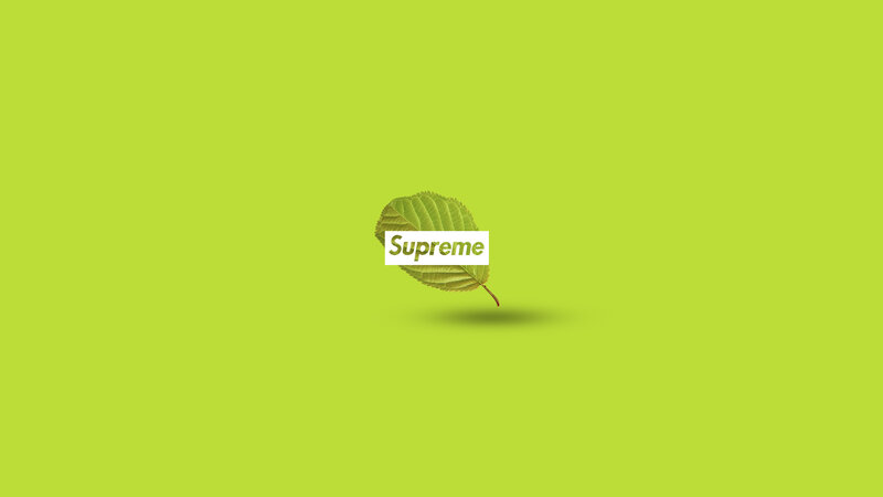 Leaf with Text Overlay