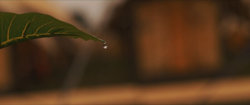 Leaf with Water Droplet — Green, Serene