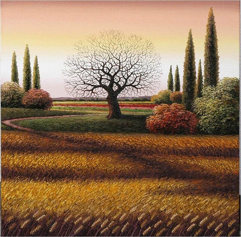 Leafless Tree in Field