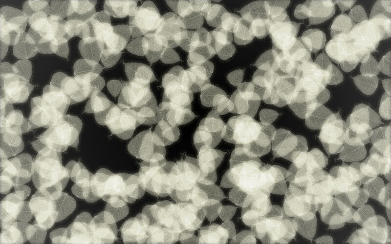 Leafy Bokeh Pattern
