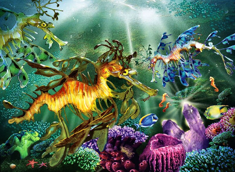 Leafy Sea Dragons