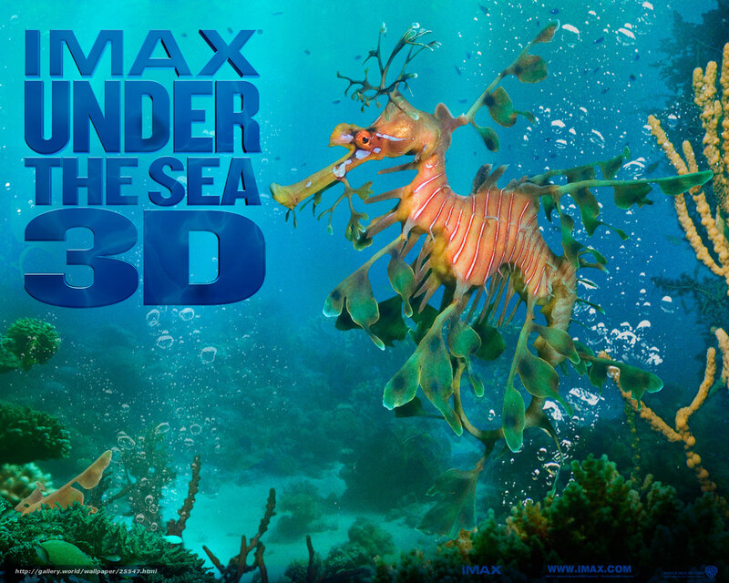 Leafy Seadragon in Water — Blue
