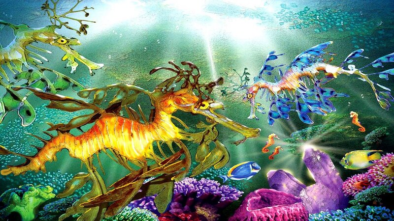 Leafy Seadragons in Coral