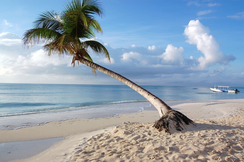 Leaning Palm Tree on Beach — Blue, Serene, Afternoon, Photograph, Ocean, Boat, Clouds