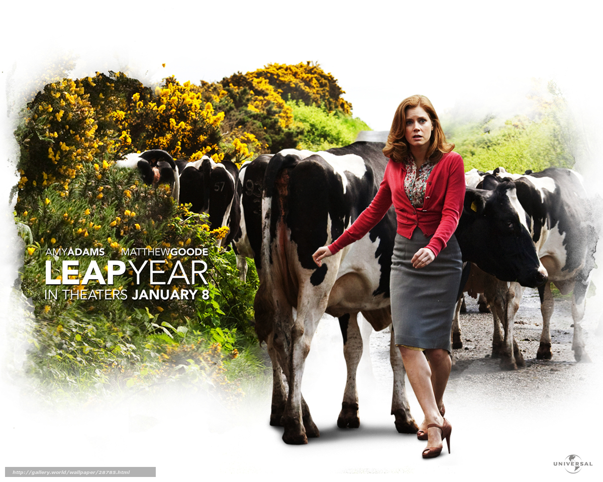 Leap Year movie poster
