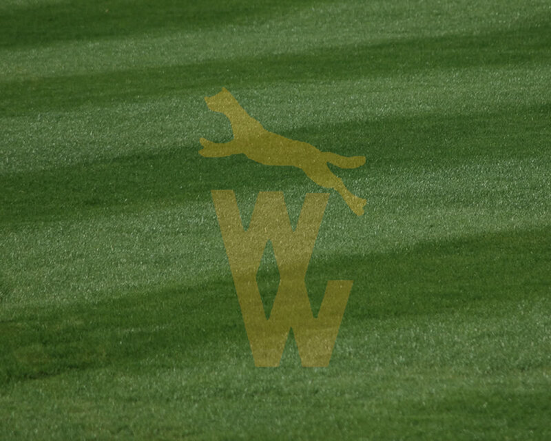 Leaping Dog Logo