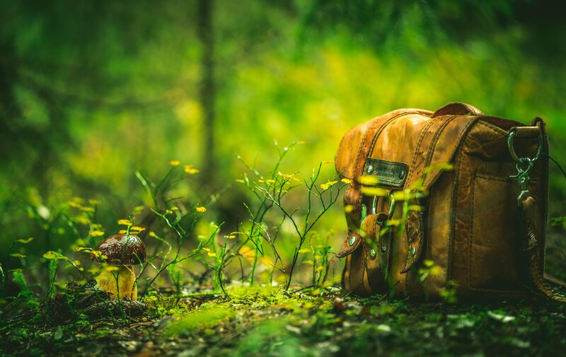 Leather Bag in Forest
