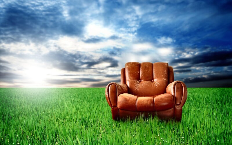 Leather chair in a green field