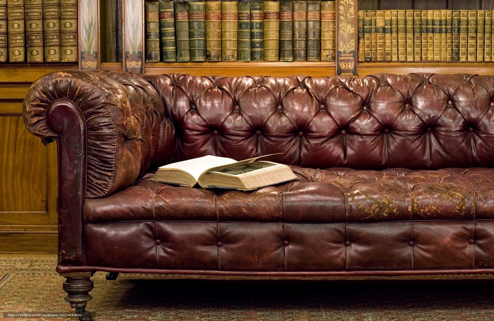 Leather sofa in library