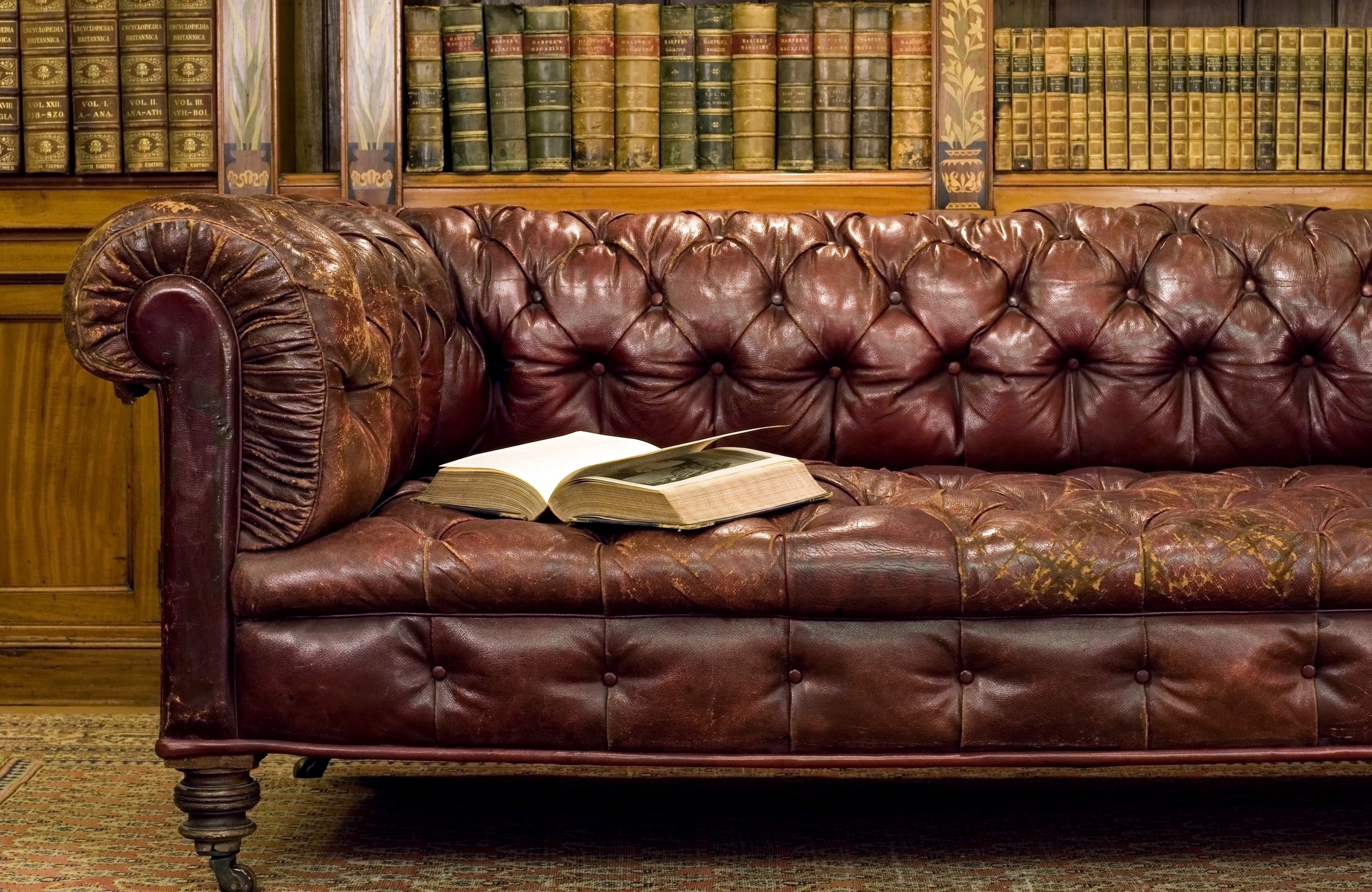 Leather sofa in library