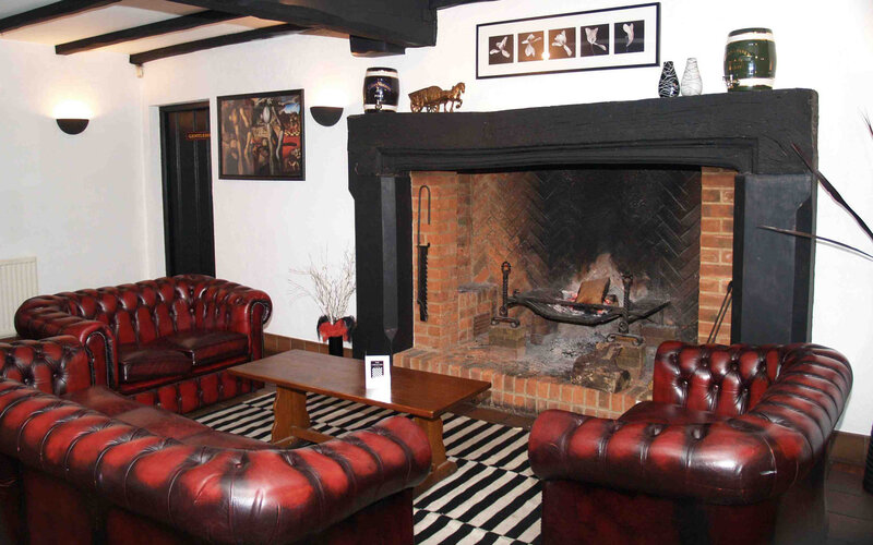 Leather Sofas in Living Room