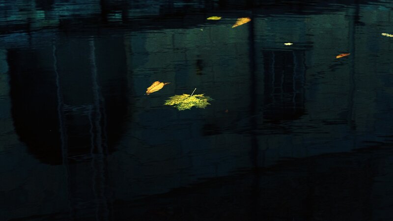 Leaves Floating on Water — Dark Blue