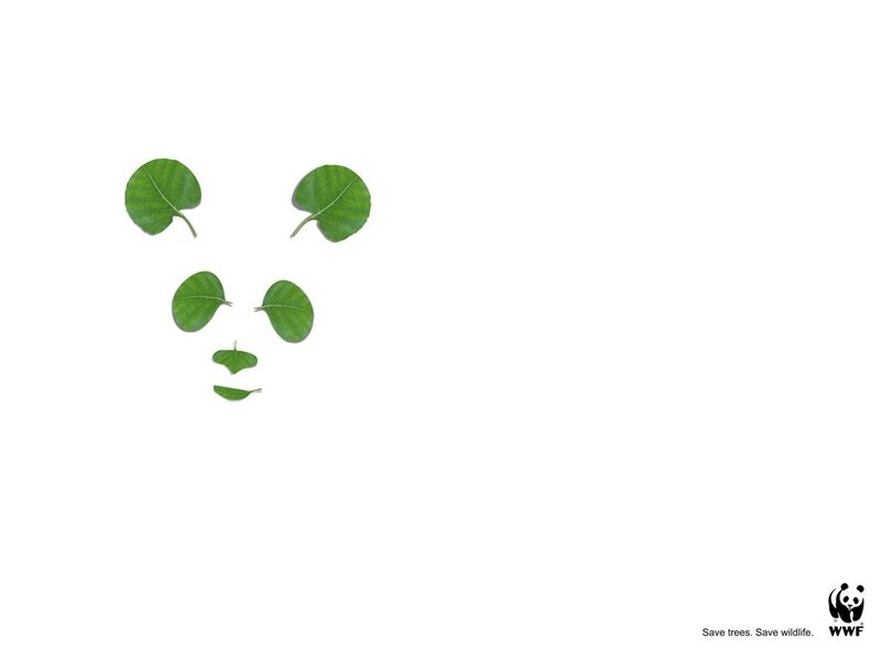 Leaves forming a panda face