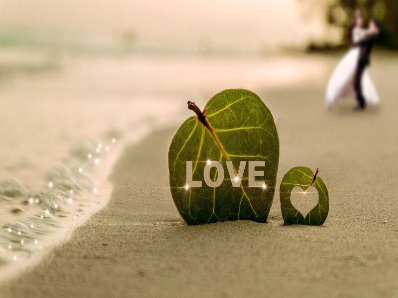 Leaves on Beach
