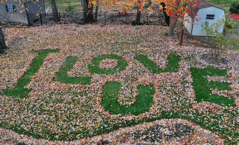 Leaves Spelling Love