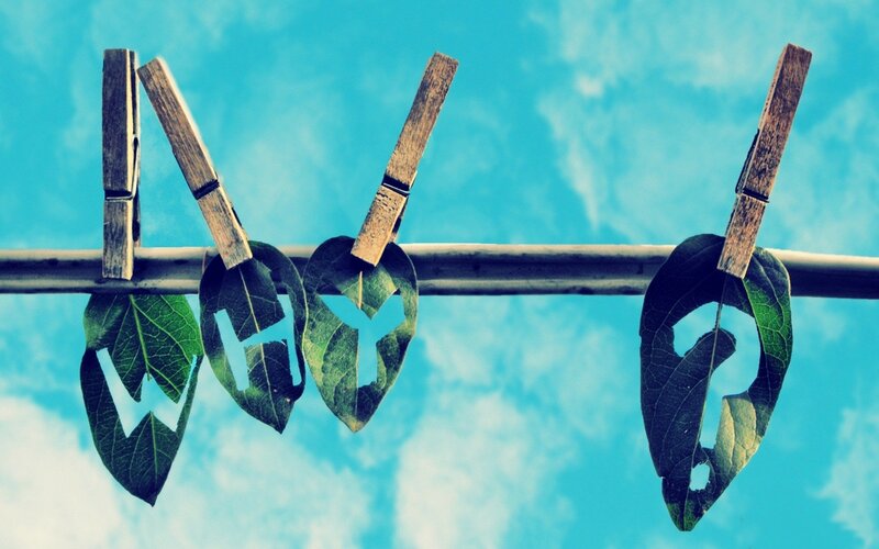 Leaves Spelling Why — Blue