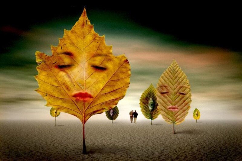 Leaves with faces in a surreal landscape
