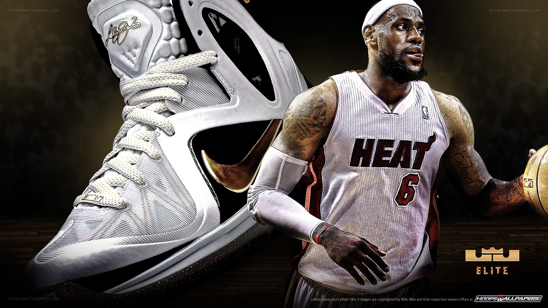 LeBron James and Nike shoe