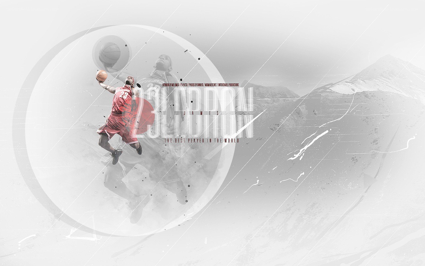 LeBron James basketball action